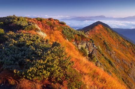 Warm sunlight on the mountain slopes  Morning landscape with mountain peaks  Dry autumn grass in the light of the rising sun  Carpathians, Ukraine, Europeの写真素材