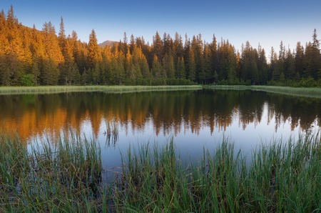 Morning landscape with lake in a mountain forest  The first rays of the sun in the trees  Lake Maricheyka, Carpathian mountains, Ukraineの写真素材