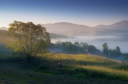 Summer landscape with sunny morning  Fog in the mountain villageの写真素材