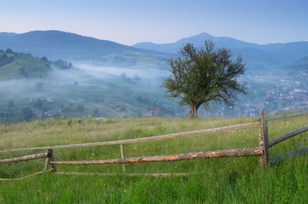 Mountain landscape with morning fog over the villageの写真素材