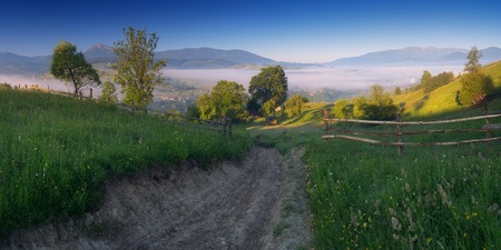 Morning landscape with a road in the village  Summer in the mountains  Karpaty, Ukraine, Europeの写真素材