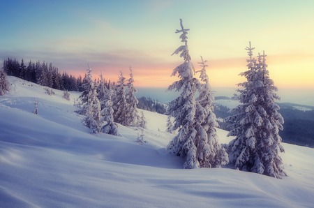 Evening Landscape with sunset sky in the winter in a mountain forest  Soft effect  Color toningの写真素材