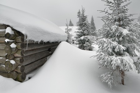 Winter in the village. Old wooden house in the snowの写真素材