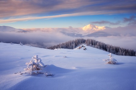 Frosty morning in the mountains. The village of shepherds in the meadow. Fresh snow on the trees and...
