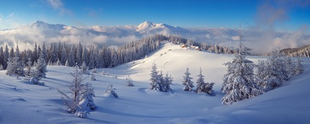 Winter forest in mountains. Snow on the trees. Christmas landscapeの写真素材