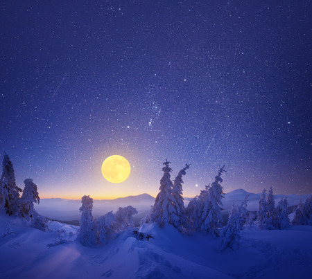 Winter landscape at night. Light of the full moonの写真素材