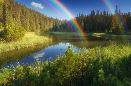 Landscape with beautiful lake in a mountain forest. Sunny summer dayの写真素材