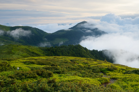 Beautiful fog in the mountains. Summer landscape. Carpathians, Ukraine, Europeの写真素材