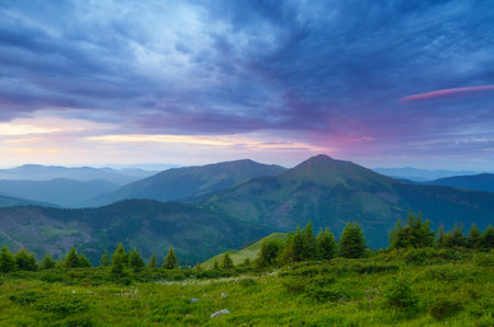 Summer landscape. Morning in the mountains. Beauty in natureの写真素材