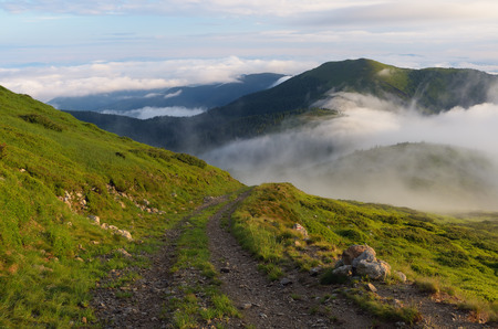 Beautiful summer morning fog. Road in the mountainsの写真素材