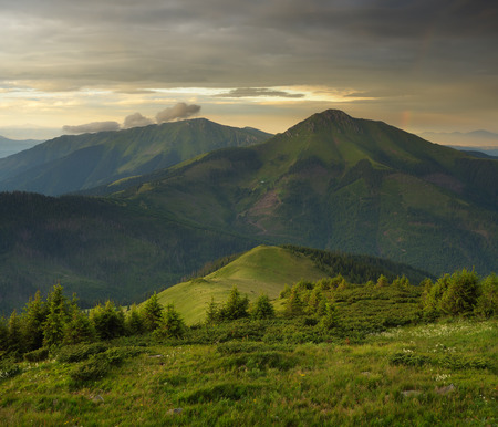 Summer landscape. Evening in the Mountainsの写真素材