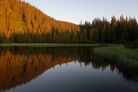 Lake in the mountain forest. Beautiful morning lightの写真素材
