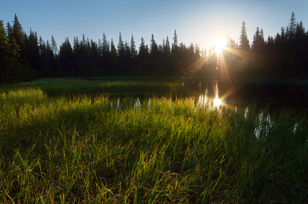 Lake in the mountain forest. Morning sunlightの写真素材