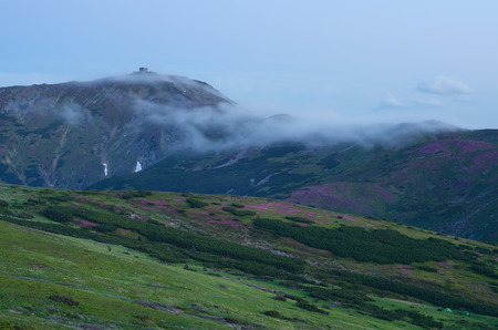 Twilight in the mountains. The top of the clouds. Summer landscapeの写真素材