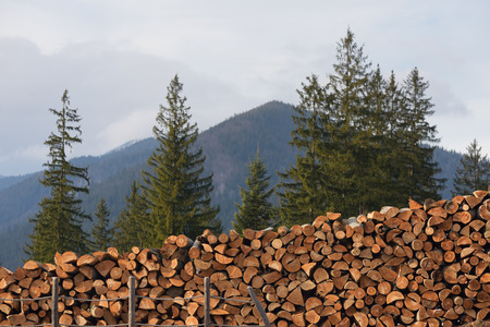 Harvested wood. Rural view in the mountainsの写真素材