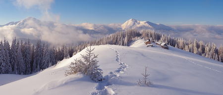 Christmas landscape. Winter in the mountains. Mountain village. Carpathians, Ukraine, Europeの写真素材