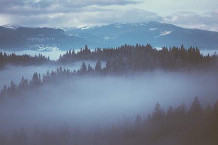 Winter landscape with morning fog on a mountain slope. Color toning. Low contrastの写真素材