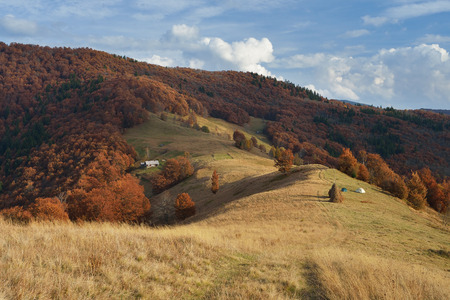 Mountain Village. Autumn Landscape with beech forest on the slopes. Carpathians, Ukraine, Europeの写真素材