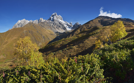 Autumn landscape. The mountain panorama. Sunny day. Mount Ushba, Main Caucasian ridge. Zemo Svaneti, Georgiaの写真素材