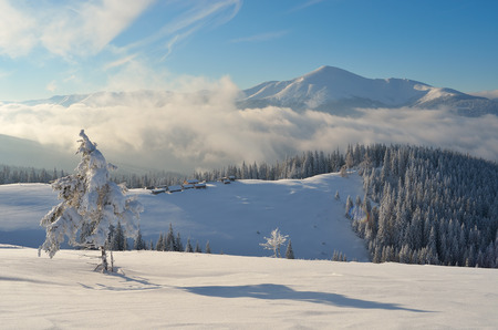 Winter landscape. Sunny day in the mountains. Snowy mountain village. Carpathians, Ukraine, Europeの写真素材