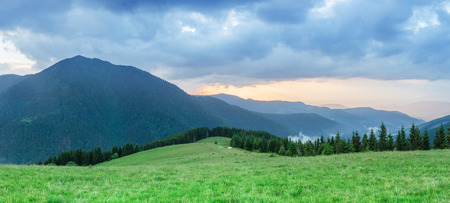 Sunset in the mountains. Summer landscape with fir forest and mountain peaks. Carpathians, Ukraine, Europe. Art processing of photos. Color toningの写真素材