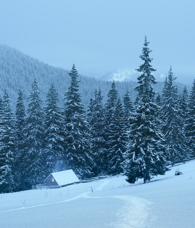 Christmas landscape with footpath in the snow. Wooden house on a mountain meadow near the forest. Fresh snow on the trees and hills. Cloudy weather in the evening. Carpathians, Ukraine, Europeの写真素材