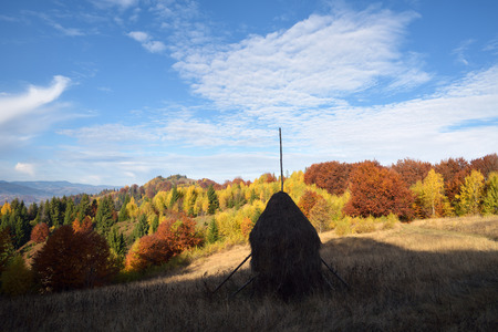 Autumn landscape with a haystack on the meadow. Beautiful deciduous forest on the hills. Sunny weather in the morning. Carpathians, Ukraine, Europeの写真素材