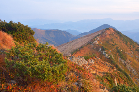 Autumn landscape with mountain ridges and peaks. Overcast morning. Carpathians, Ukraine, Europeの写真素材