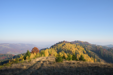 Road in a mountain meadow. Autumn landscape with deciduous forest and blue sky. Carpathians, Ukraine, Europeの写真素材