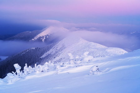 Winter landscape at dawn. Mountain tops in fog and clouds. Very cold morning. Carpathians, Ukraine, Europeの写真素材