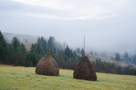Hills in the mountain village. Rick dry hay. Morning fogの写真素材