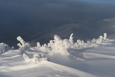 winter landscape