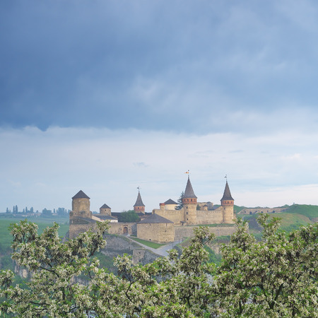 View of the medieval fortress. Tourist attraction. Spring landscape with flowering trees. The city...