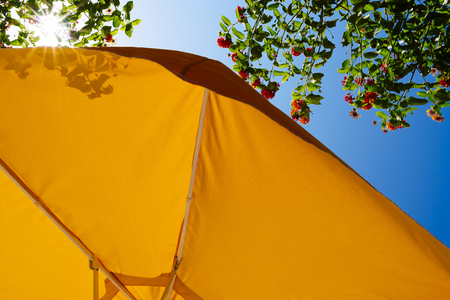 Protection from the sun in a summer resort. Yellow umbrella on blue sky backgroundの写真素材