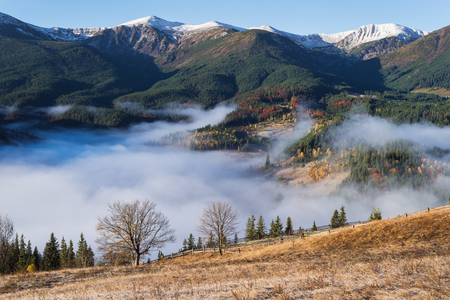 Autumn landscape in a mountain village. Beautiful morning mist in the valley. Scenic view of snow-capped peaks. Bystrets village , Carpathians, Ukraineの写真素材