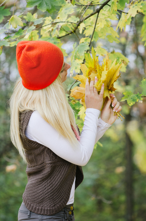 Blonde girl with a bouquet of autumn maple leaves. Leisure in the parkの写真素材