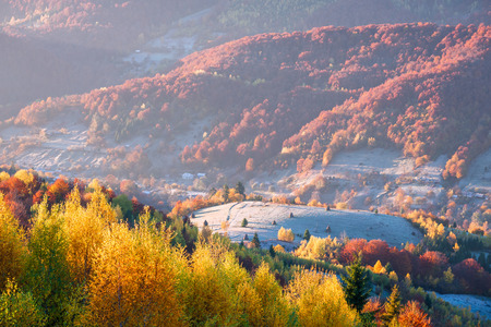 Autumn landscape with a beautiful deciduous forest in the mountains. Sunny weather in the morning. Carpathians, Ukraine, Europeの写真素材