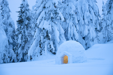 Snow eskimo igloo for spending the night in a mountain forest. Extreme adventures in nature in the...