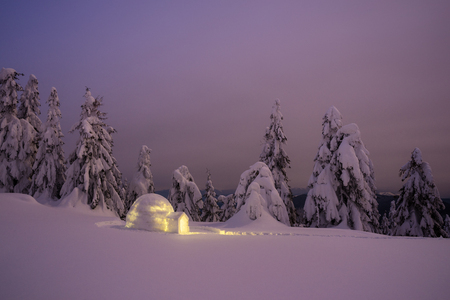 Dreamy winter wonderland with igloo snow. Night view with snowy forest in a mountain の写真素材