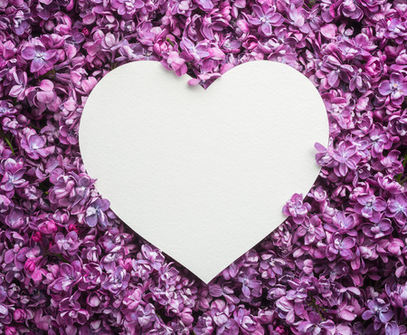 Valentines day card with copy space for greeting text. Heart on the background of lilac flowersの写真素材