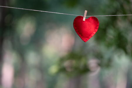 Valentine's day card with space to insert text. Red heart on a background of green vegetationの写真素材