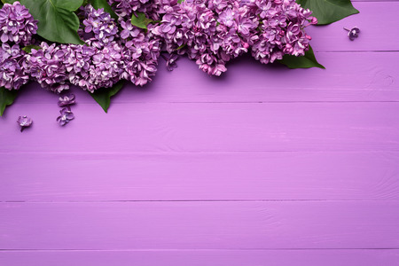 Decorative border of lilac flowers. Spring background with copy space for text
