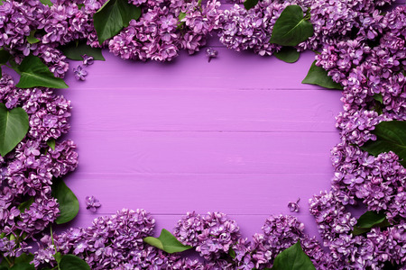 Decorative frame of lilac flowers. Spring background with copy space for textの写真素材