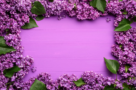 Floral decorative background. Frame of lilac flowers. Spring card with copy space for textの写真素材