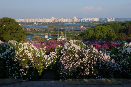 Botanical Garden, Kyiv, Ukraine. View of the Vydubychi Monastery and the River Dnieper. Spring landscape with blooming lilacの写真素材
