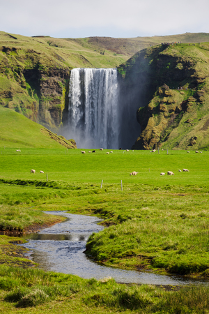 View of the waterfall Skogafoss, Iceland. Summer landscape with green meadow and riverの写真素材