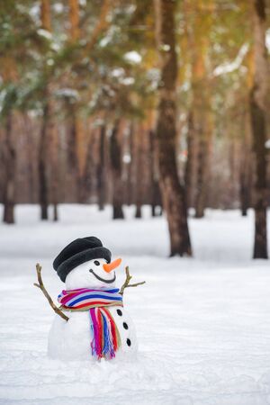 Snowman in a city park near pine trees. Carrot nose, button eyes, twigs hands, snow body - a traditional winter characterの写真素材