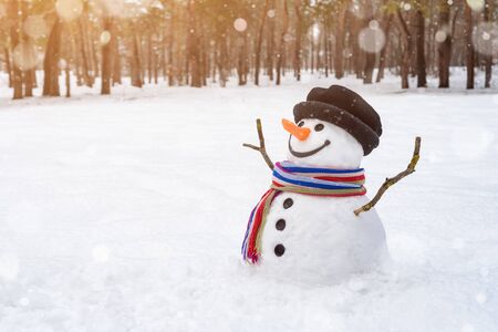 Cheerful snowman in a snowy city park. Christmas scene with traditional winter fun for children. Copy space for textの写真素材