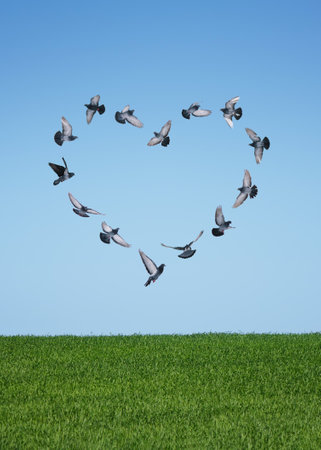 Conceptual card for Valentines day with a heart made of flying doves and copy spaceの写真素材