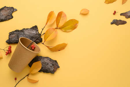 Autumn background with a decor of fallen leaves and herbarium on a yellow background with copy space for textの写真素材